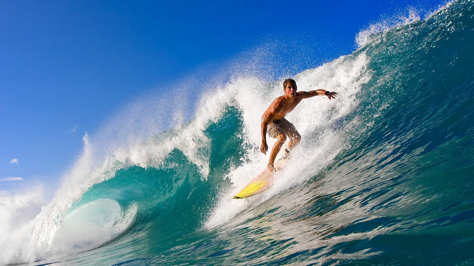 逆境中的“荣耀时刻”，永恒的欧冠经典，荣耀冠军足球